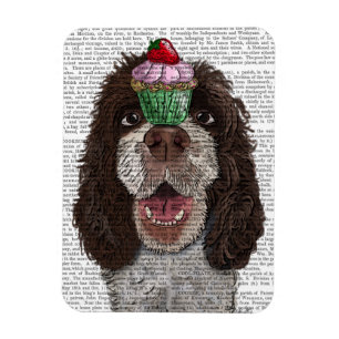 SpringerSpaniel mit kleinem Kuchen Magnet