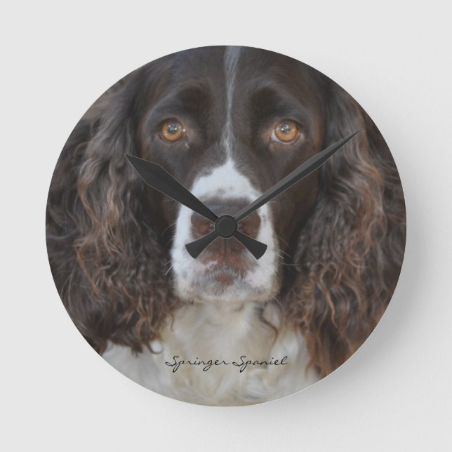 Springerspaniel-runde Wanduhr (Vorderseite)