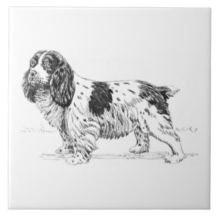Springerspaniel-Vogel-Jagd-Hundezucht-Zeichnen Fliese