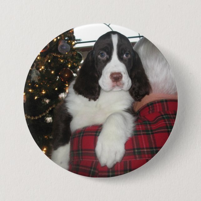 Springerspaniel-WeihnachtsButtone Button (Vorderseite)