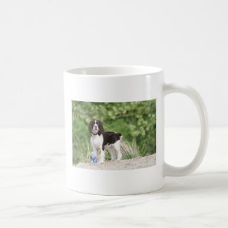 Springerspaniel-Welpe! Tasse