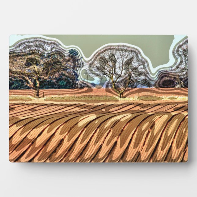 SPRINGFELDER FOTOPLATTE (Vorderseite)