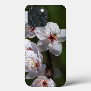 Springflöße für Telefone iPhone 13 Pro Hülle