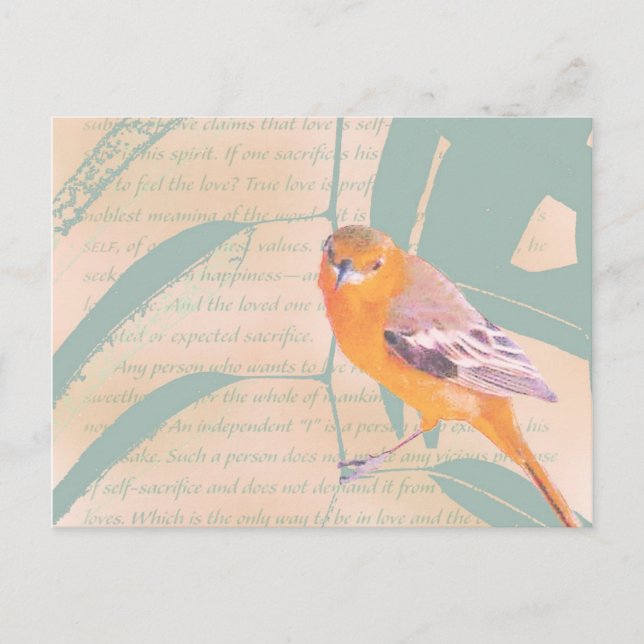 SPRINGSCHRANK POSTKARTE (Vorderseite)