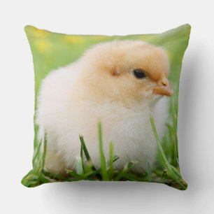 Springtime Baby Chick Kissen