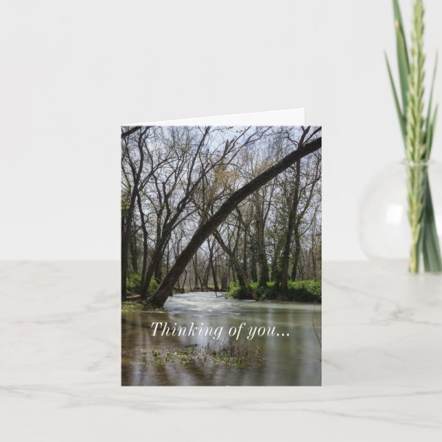 Springtime beim Finley Denken Ihrer Karte (Vorderseite)