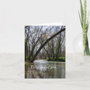 Springtime beim Finley Denken Ihrer Karte