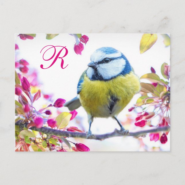 Springtime-Bird-Monogramm Postkarte (Vorderseite)