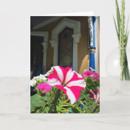 Springtime Blume Box - Martha's Vineyard Karte