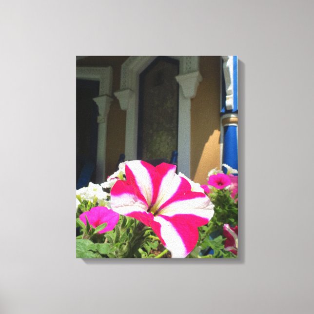 Springtime Blume Box - Martha's Vineyard Leinwanddruck (Vorderseite)