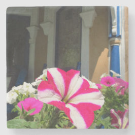 Springtime Blume Box - Martha's Vineyard Steinuntersetzer