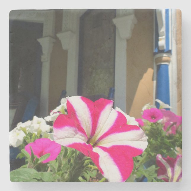 Springtime Blume Box - Martha's Vineyard Steinuntersetzer (Vorderseite)