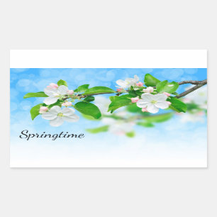 Springtime (Blume von Apfeln) Rechteckiger Aufkleber