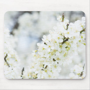 Springtime-Blüte Mousepad
