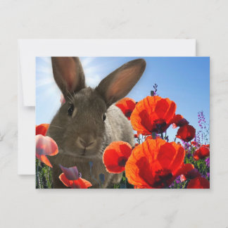 Springtime Bunny Postkarte