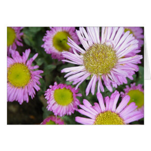 "Springtime chez moi"