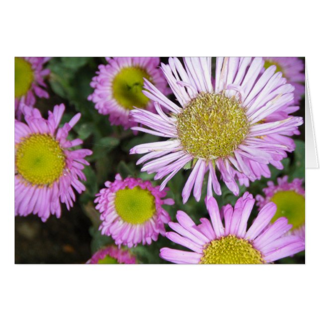 "Springtime chez moi" (Vorderseite (Horizontal))