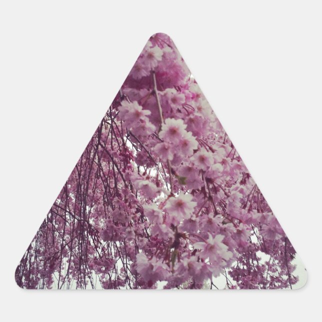 Springtime Dreieckiger Aufkleber (Vorderseite)