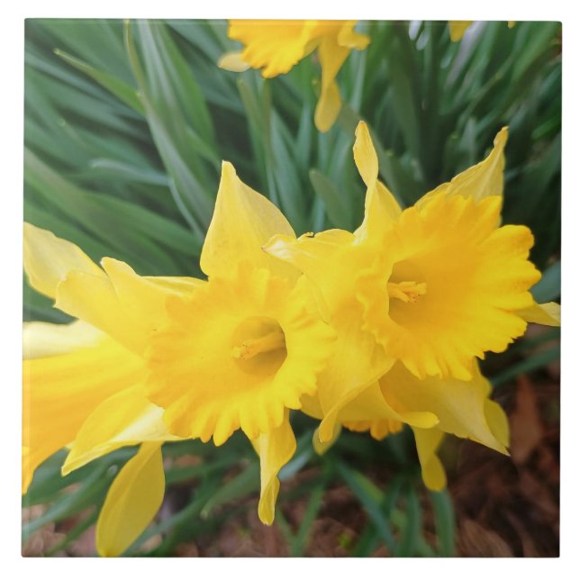 Springtime Flowers Fliese (Vorderseite)