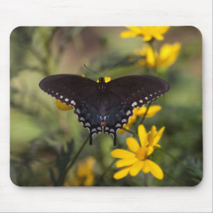 Springtime Frack Butterfly Mousepad