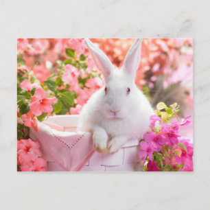 Springtime Hare Postkarte