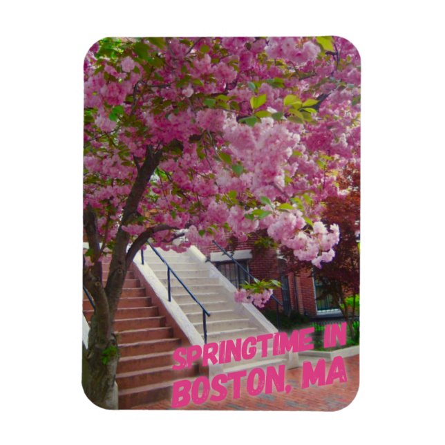 Springtime in Boston, MA Magnet (Vertikal)