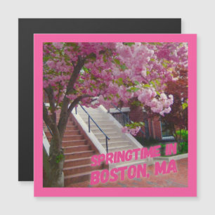 Springtime in Boston, MA Magnetkarte