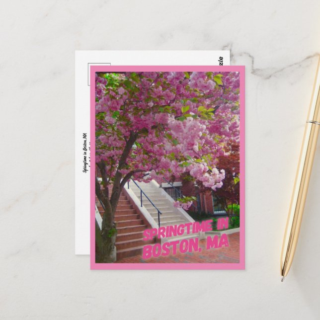 Springtime in Boston, MA Postkarte (Vorderseite/Rückseite Beispiel)