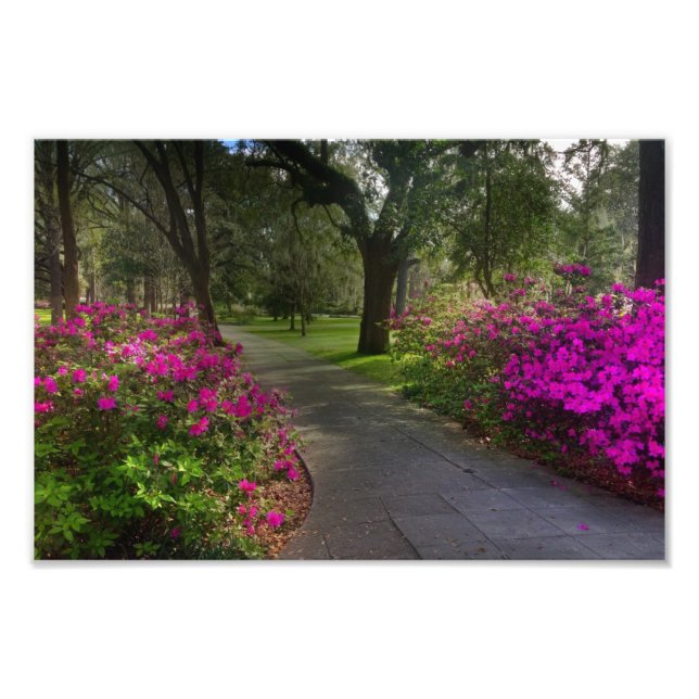 Springtime in Forsyth Park, Savannah Fotodruck (Vorne)