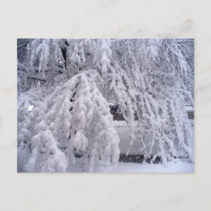 Springtime in Wisconsin Postcard Postkarte