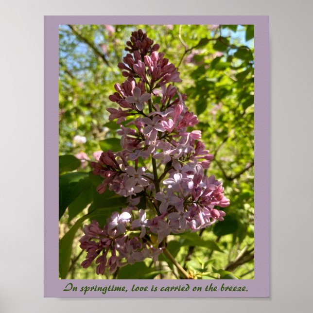 Springtime Lilac Inspiration Print Poster (Vorne)