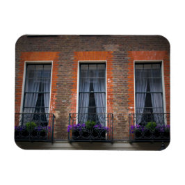 Springtime London Lavender Window Boxes - Magnet