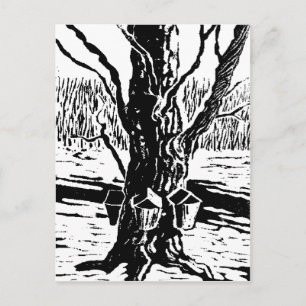 Springtime Magic Postcard Postkarte