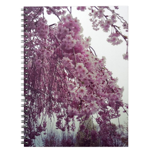 Springtime Notizblock (Vorderseite)