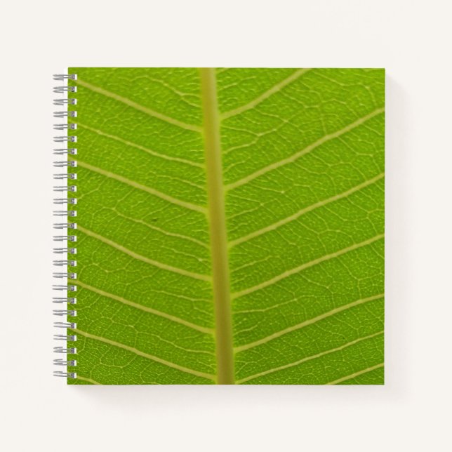 Springtime Notizbuch (Vorderseite)