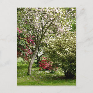 Springtime Postkarte