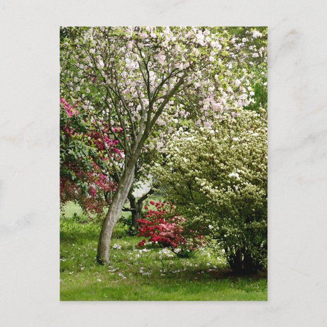 Springtime Postkarte (Vorderseite)