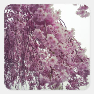 Springtime Quadratischer Aufkleber