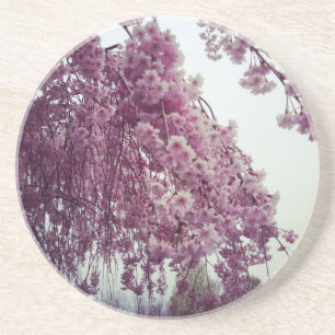 Springtime Sandstein Untersetzer