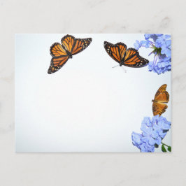 Springtime-Schmetterlinge Postkarte