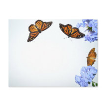 Springtime-Schmetterlinge