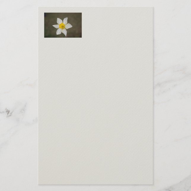 Springtime Stationery Briefpapier (Vorderseite)