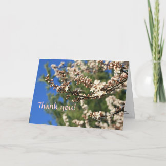 Springtime Vielen Dank Dankeskarte