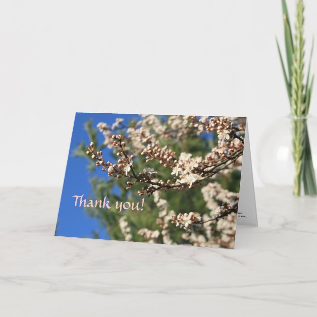 Springtime Vielen Dank Dankeskarte (Vorderseite)
