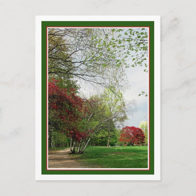Springtime-Wanderweg Postkarte (Vorderseite)