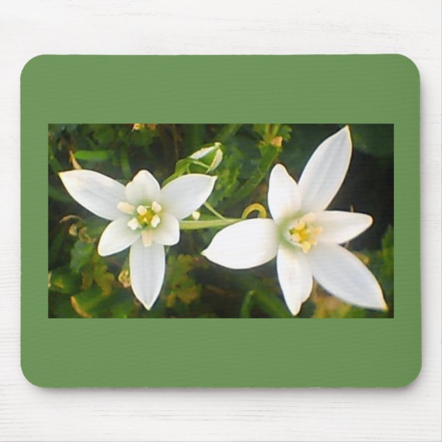 Springtime Weiße Blüten Mousepad (Vorne)