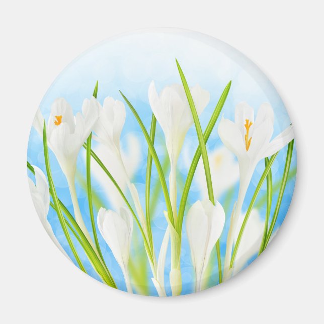 Springtime (weiße Kreuze) Magnet (Vorne)