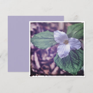 Sprint Trillium Autochrome Stil Mitteilungskarte