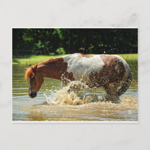 Spritzen Postkarte