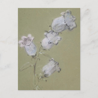 Spritzen von Canterbury Bells Postcard Postkarte